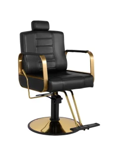 Purpose Hydraulic Salon Chair Designed for Barbershops Schools and Living Room Furniture Use