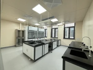 Resin coated All steel Laboratory Bench for Chemical Laboratories and Quality Control Laboratories