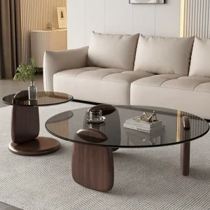 Round Coffee Table Set of 2 Glass Top Wood Modern Small Black Nordic Round Coffee Table