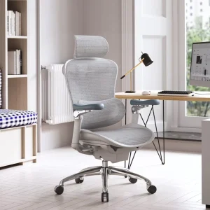 SIHOO Ergonomic Chairs C300 Executive Luxury Mesh Office Seat Cadeira De Escritrio Office Chair