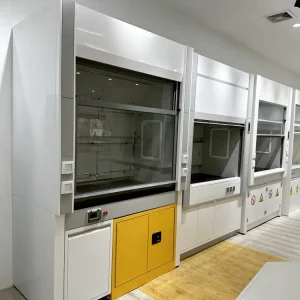 Safety Cabinet Modern Design Portable Chemical Fume Hood for Laboratory Medical Room