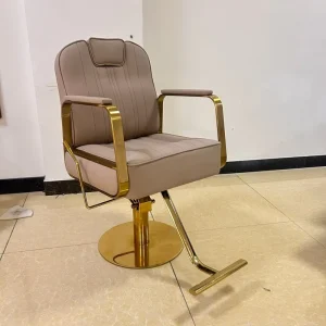 Salon Furniture Light Khaki PU Hydraulic Salon Styling Chair Gold Frame Hairdressing Chair for Hair Beauty Salon