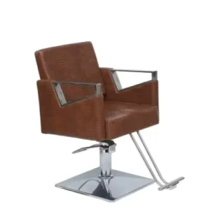 Salon Hair Chair Classic Barber Chairs Leather Fashionable Customized Style Beauty Packing Style Chair