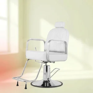 Salon Styling Chair Chrome Stainless Steel Frame Reclining Hydraulic Barber Chair Adjustable Chair for Beauty Barbershop