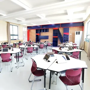 School Desks and Chairs Reading Training Different Sizes School Library Furnitures Colourful Combination Portable Durable Wooden