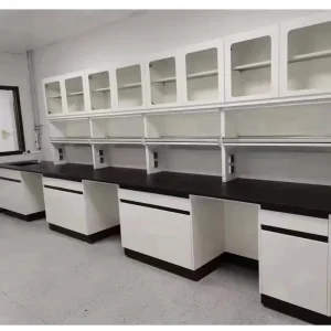 School Laboratory Equipment and Furniture Lab Solutions All Steel Working Bench Station