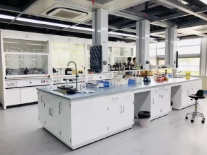 Science Lab Furniture Laboratory Bench for Microbiology Chemistry Laboratory Table Equipment