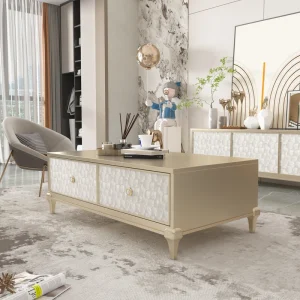 Shell Solid Wood Champagne colored TV Cabinet Light Luxury Style Suitable Modern and Minimalist Solid Wood Coffee Table