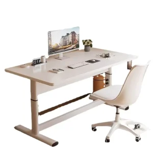 Single Motor Height Adjustable Desk Sit Stand Workstation with Upright Inverted Mounting & Cable Holes