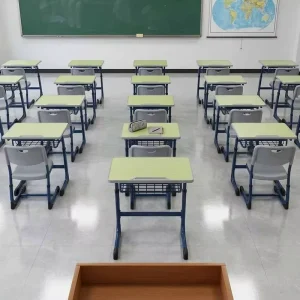 Single Student School Desk Chair Set Height Adjustable Metal Frame Wood Tabletop Net Drawer Classroom Furniture