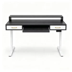 Sit Stand Height Adjustable Office Desk with Storage Drawers Electric Motorized Computer Workstation for Home Office