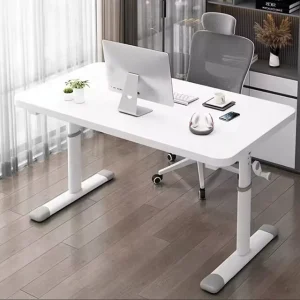 Sit Stand Up Raising Desk Computer Study Table Desk for Students