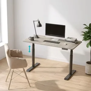 Smart Dual Motor Height Adjustable Standing Desk Frame Ergonomic Electric Sit Stand Office Table Base for Office Home Furniture