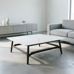 Soothin Designer Furniture High End Durable Modern Minimalist Style Special Price Black Swan Series Marble Square Coffee Table