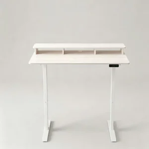 Spacious Electric Standing Desk Height Adjustable Sit Stand Computer Workstation for Hotel and Apartment