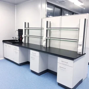 Special Laboratory Console Table Laboratory Bench Equipment Furniture for Laboratories