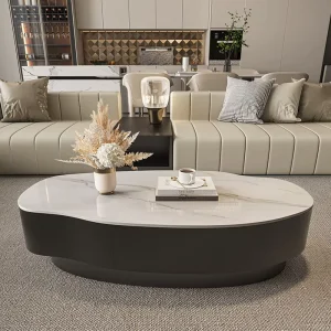 Special Shaped Stone Slab Coffee Table Luxurious Modern Minimalist Design Elliptical Shape for Various Sizes Living Room Home