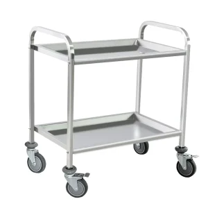 Stainless Steel 201 Two Shelves Medical Instrument Laboratory Hospital Trolley Cart