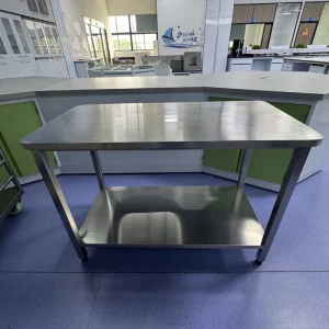 Stainless Steel Laminar Flow Cabinet and Clean Workbench Industrial Hospital Labs Modern Design Commercial Use 0 Drawers