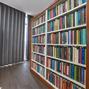 Stainless Steel Modern Adjustable Library Book Rack Hybrid Bookcase for School & Hospital Use
