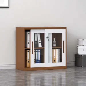 Steel Filing Cabinets Storage Cabinets with Movable Doors Low Cabinets with Locks Office Equipment for Hospital Gym