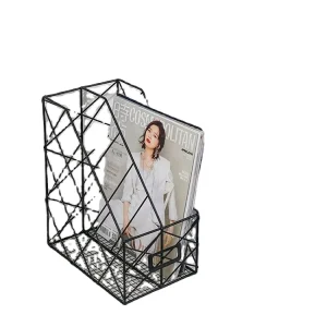 Steel Hanging Wall File Holder Chicken Wire Hanging Filing Organizer Wall Mounted Document Magazine Rack