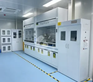 Steel Laboratory Furniture Chemical Test Fume Hood Cupboard for Hospital and School Use Modern Design Laboratory Equipment