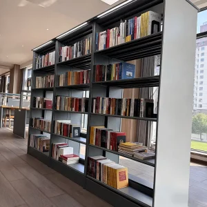 Steel Library Book Shelves Public Library Furniture Modular Storage Racks Bookcase System