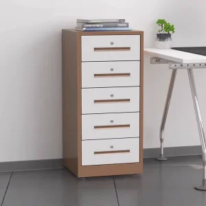 Steel Office Desk Storage Cabinet Eco Friendly for Gym Bedroom Outdoor Small Modern Minimalist School Home Office Clinic OEM ODM