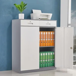 Steel Office Storage Cabinet with 2 Drawers & Doors Lockable Metal Filing Cabinet for Documents & Supplies