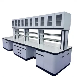 Steel Sink Table with Cabinets Epoxy Countertop Hanging Cabinet for Hospital Laboratory Use More Storage Space