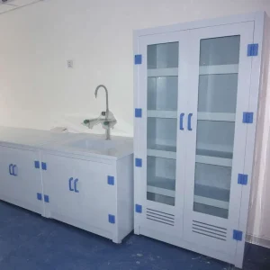 Sturdy and Durable Lab PP Storage Cabinet for Laboratory