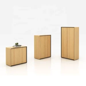 Swing Door Office Storage Furniture Large Filing Cabinet Solid Wood File Cabinet