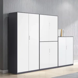 Swing Door Steel Filing Cabinet Eco-Friendly Office Storage Cabinet Metal Office File Cupboard with Lock