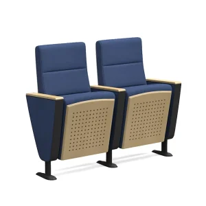 Theater Seat Auditorium Seating Chair Vip Auditorium Chair Price