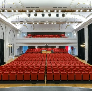 Theatre Seat Project Cine Seat Theater Seating Audience Chairs Butacas Para Cine Cadeiras De Teatro Poltrone Da Teatro Modern