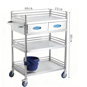 Thickened Stainless Steel Modern Hospital Medical Trolley with Easy Clean Design for Commercial Use Beauty Salons Oral Storage