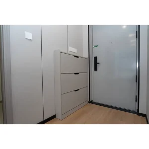 Tipping Bucket Shoe Cabinet Minimalist Entryway Storage Unit for Small Space Apartment Factory Direct