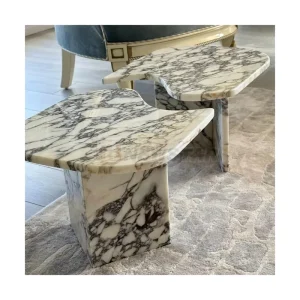 Top Quality Marble Coffee Tables Natural Arabescato Corchia Marble Home Decoration Marble Coffee Tables