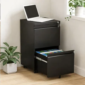 Two Drawers Mobile Steel File Cabinet Modern Adjustable for Living Room Storage Solution and Office Organization Use