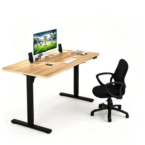 UL Listed Dual Motor Heavy Duty Electric Height Adjustable Standing Desk for Commercial Office Project