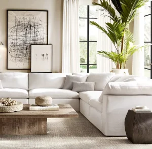 Ultra-comfortable Luxury Indoor Furniture Cloud Modular Upholstery Sectional Living Room Sofa