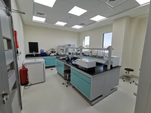 University Laboratory Furniture Chemistry Work Bench Wall Bench Lab Furniture for School