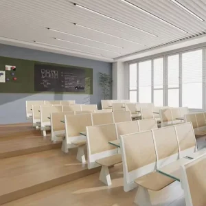 University Lecture Hall Chair With Desks Theater Seating Students School Chair Furniture