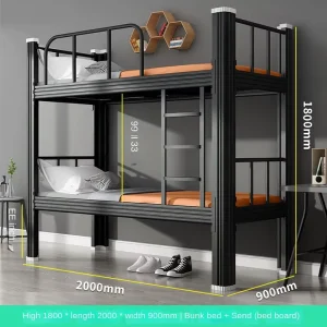 Versatile Modern Double Deck Bunk Beds for Dormitories for Schools Hotels Apartments Colleges Hospitals and Bedrooms