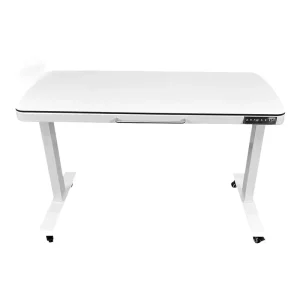 Veterinary Equipment Animal X Ray Machine Table with Reusable Rack 40 125KV 110V 220V for Clinic Use