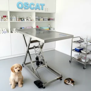 Veterinary Equipment ET 17 Flat Top Vet Diagnosis and Treatment Tables for Veterinary Clinics