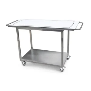 Veterinary Hospital 304 Stainless Steel Table Vet Surgical Treatment Table Operating Table for Pet Clinic