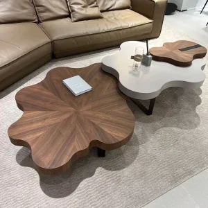 Vintage Wabi sabi Cloud Coffee Table Set Irregular Shaped Unique Living Room Light Luxury Minimalist Solid Wood Home Furniture