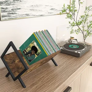 Vinyl Record Organizer Stand for Files Book Magazine Record Rack Easy Assemble Metal and Wooden Vinyl Record Storage